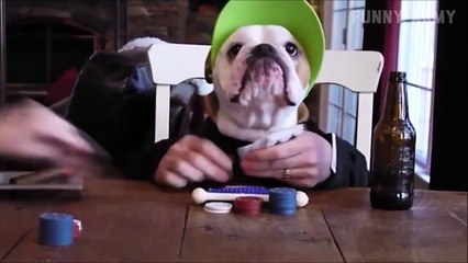 Ultimate Fails Funny Compilation of the Week 3 November 2015    FunnyArmy