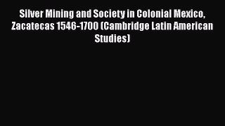 PDF Silver Mining and Society in Colonial Mexico Zacatecas 1546-1700 (Cambridge Latin American