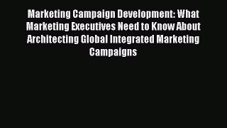 Read Marketing Campaign Development: What Marketing Executives Need to Know About Architecting