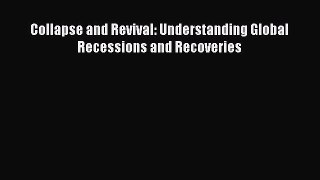 Download Collapse and Revival: Understanding Global Recessions and Recoveries PDF Free