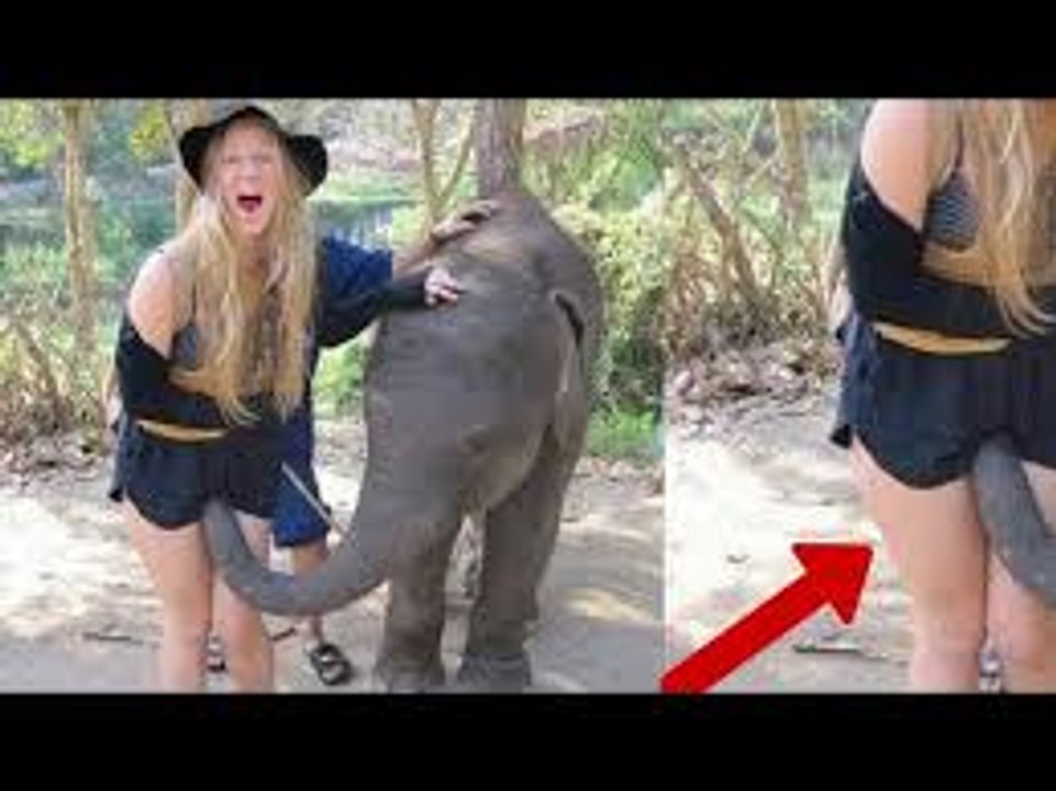 Never underestimate the danger of wild animals. Animals attack human