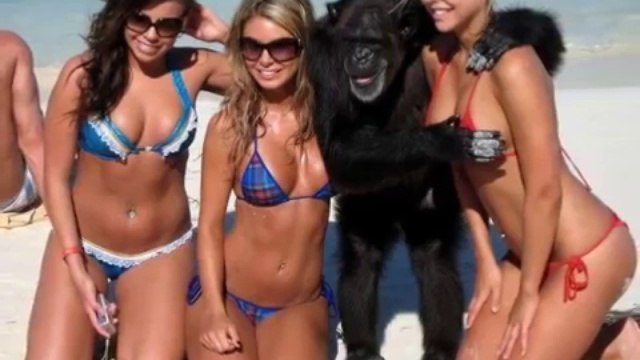 Подборка Самых Лучших Приколов #1