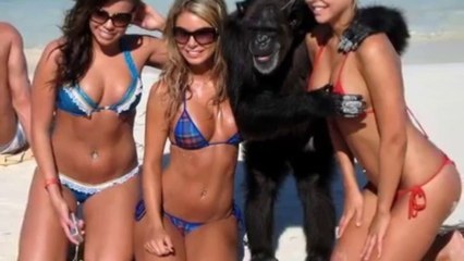 Подборка Самых Лучших Приколов #1