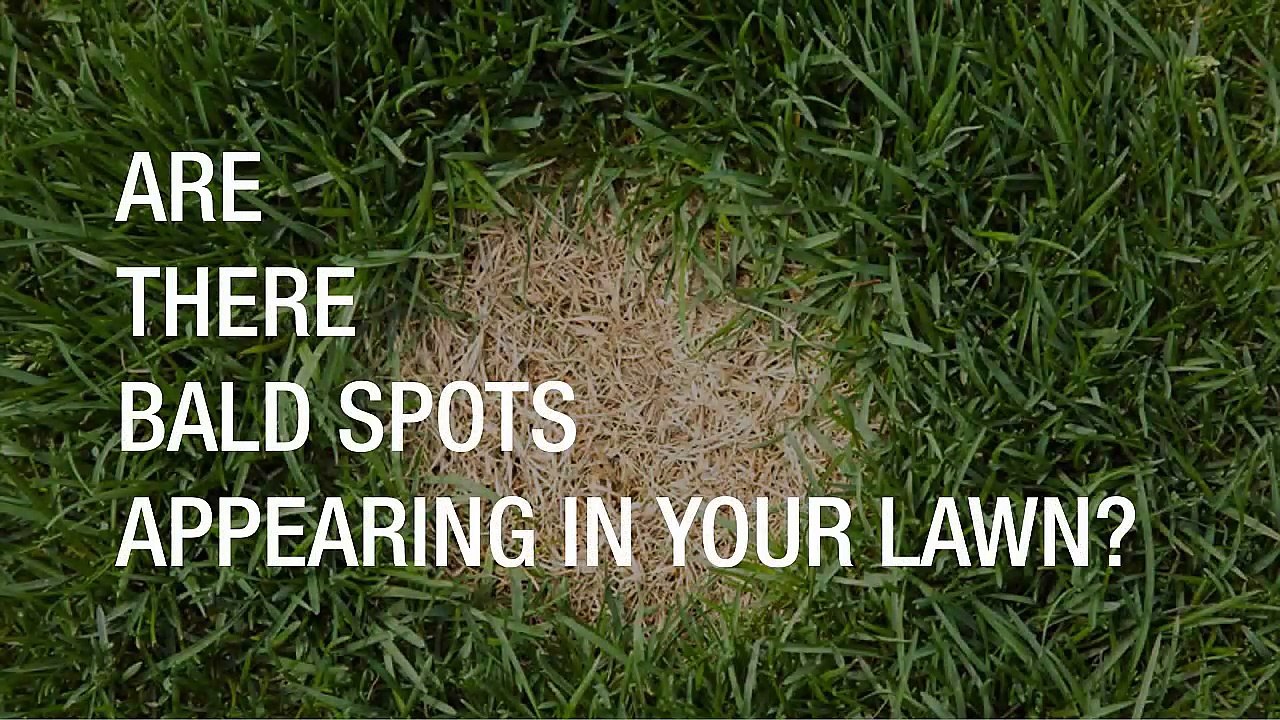 Create Unique Landscapes With Archer Lawns