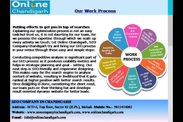 SEO Company, SEO Services in Chandigarh - Online Chandigarh