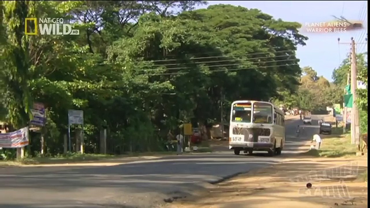 Documentaire World CBD (4)