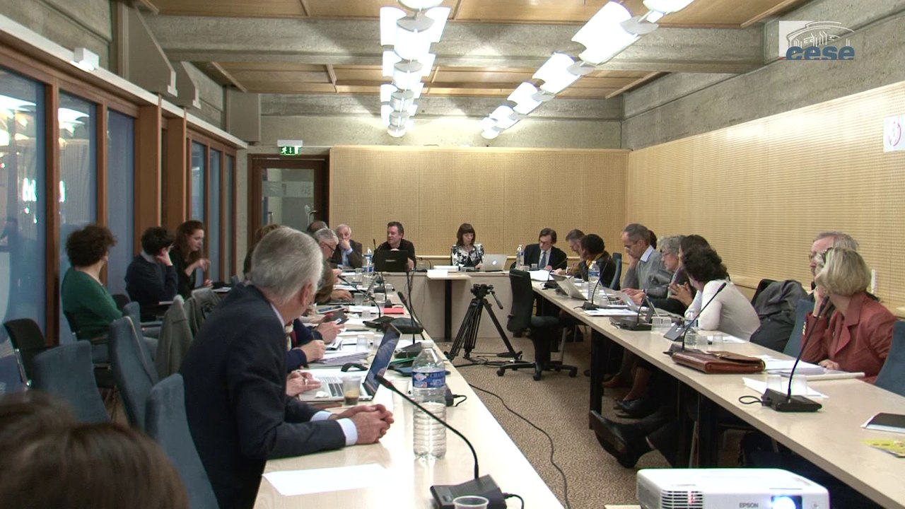 Audition de Eloi LAURENT (OFCE) - Justice Climatique - cese