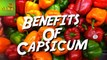 Health Benefits Of Capsicum | Care TV