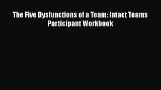 Read The Five Dysfunctions of a Team: Intact Teams Participant Workbook Ebook Free