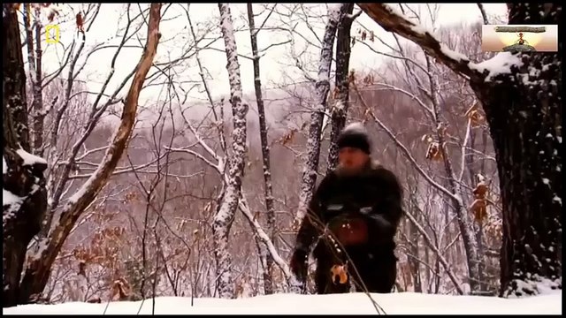 Animal Homosexuality Documentary 12345 (1)