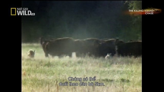 Indoor Playground Family Fun for Kids Play Center Slides Playroom with Balls (5)