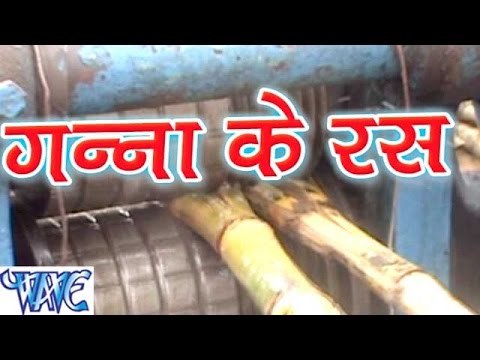 गन्ना के रस || Sammer Singh || Ganna Ke Ras || Bhojpuri Hot Songs 2015 new