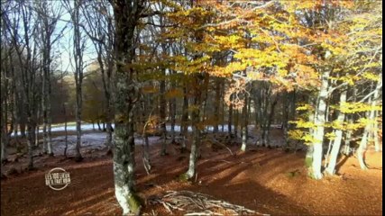 Les 100 lieux qu’il faut voir - L'Aveyron, de l'Aubrac au Larzac