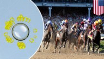 Artificial intelligence correctly predicts Kentucky Derby superfecta