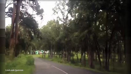 The chilling moment a ghost is captured walking in the forest