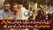 Daniyal Aziz Loota-e-Azam Hai, Is Ka Baap Corruption Mein Nikala Gaya - Mehmood ur Rasheed