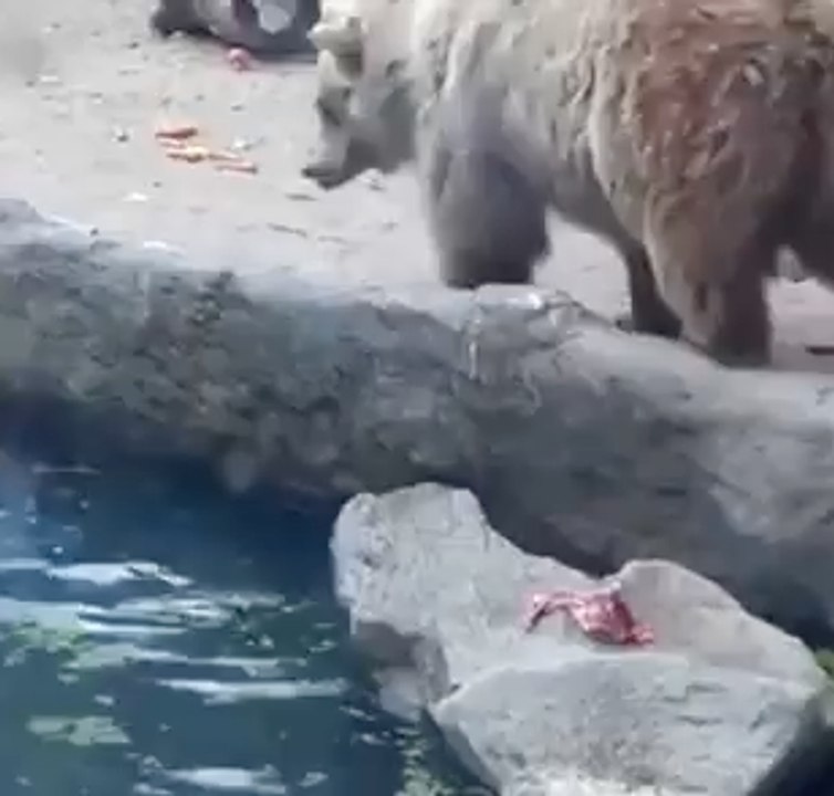 Need a hand there, buddy?