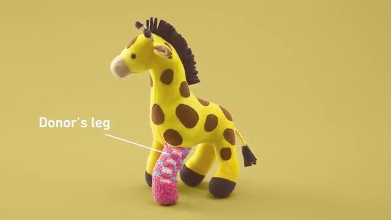 Des peluches greffées dans une campagne pour le don d'organes chez les enfants - campagne de sensibilisation