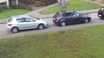 Crazy squirrel stalks selfie woman