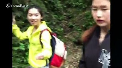 best monkey funny  videos ever monket snatching girl mobile