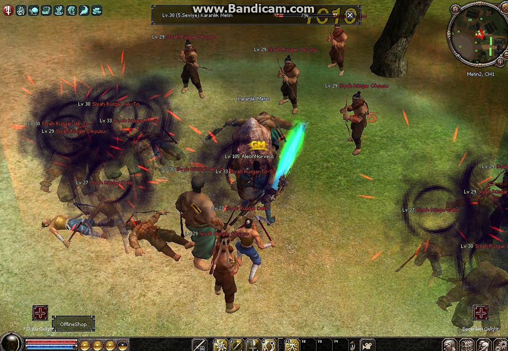 Damage Target Bug