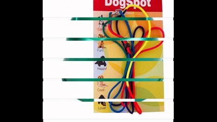 Canine Training San Marcos