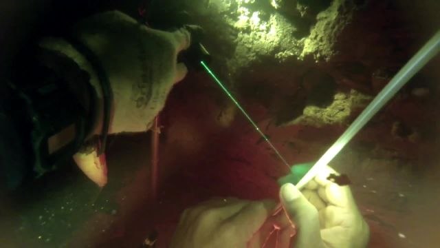 SCUBA diving archaeologists study 14,550 year-old campsite in Florida