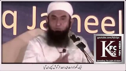 [Comedy] Maulana Tariq Jameel-How a horse became rabbit overnight