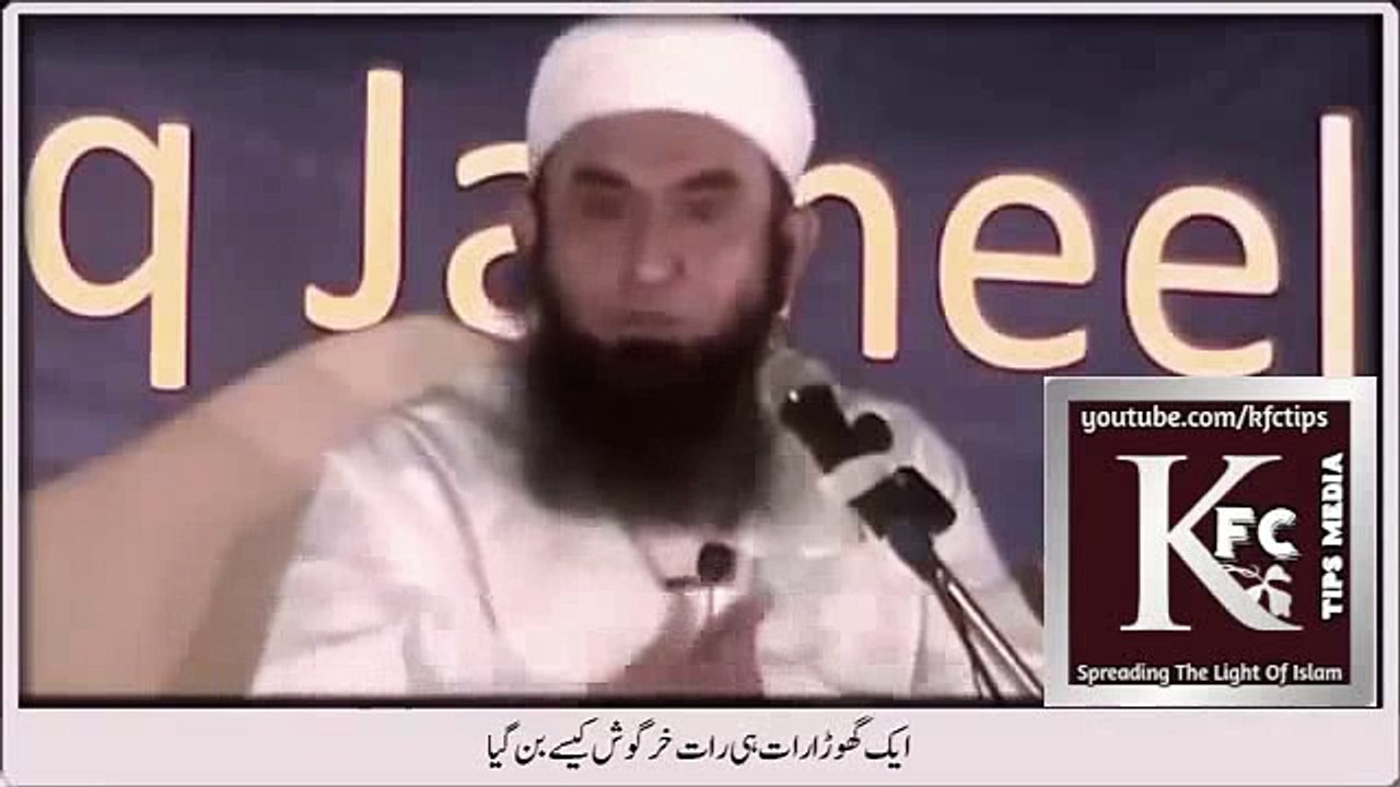 [Comedy] Maulana Tariq Jameel-How a horse became rabbit overnight