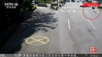 Chine: une autruche sème la terreur sur une voie rapide