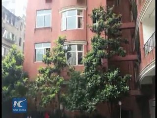 Mysterious rain of money falls from the sky in SW China