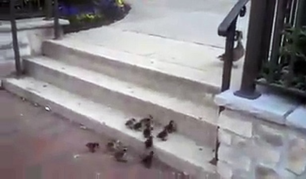Never Give Up
