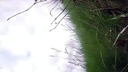 Jean Cycliste vs Jean Footing