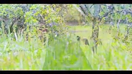 Aronstrong “Le temps“ Clip Officiel