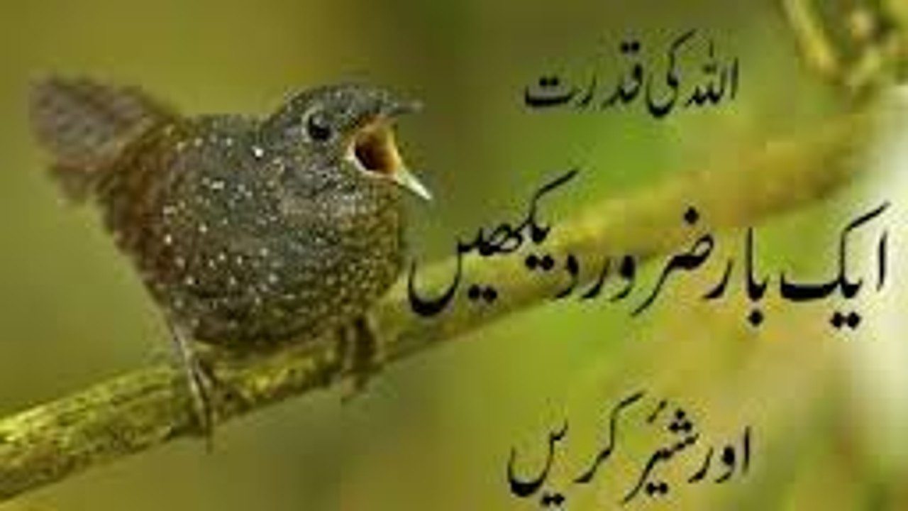 Allah ki Qudrat or Allah ka mojza Qudrat