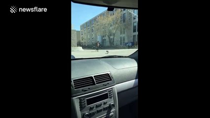 Crazy goose attacks woman