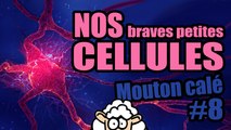 NOS braves petites CELLULES - Mouton calé #8