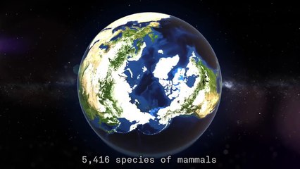 Regardez la Terre respirer