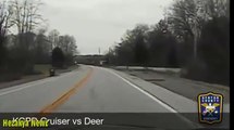 WATCH Collision Sends Deer FLYING OVER Cop Car; DEER SURVIVES!!