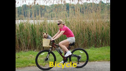 Transportation Sounds - Photos and Sounds of Vehicles RepostLike Kids Learning Video