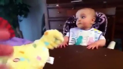 شاهد ردة فعل الطفل عندما تضع الدجاجة البيض