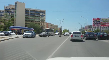 Camel Walks Down Busy Street