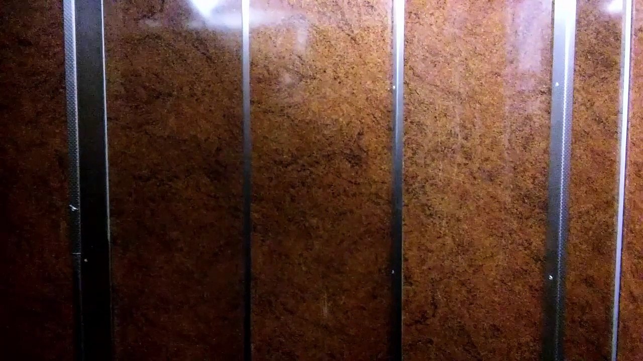 MOV_1831