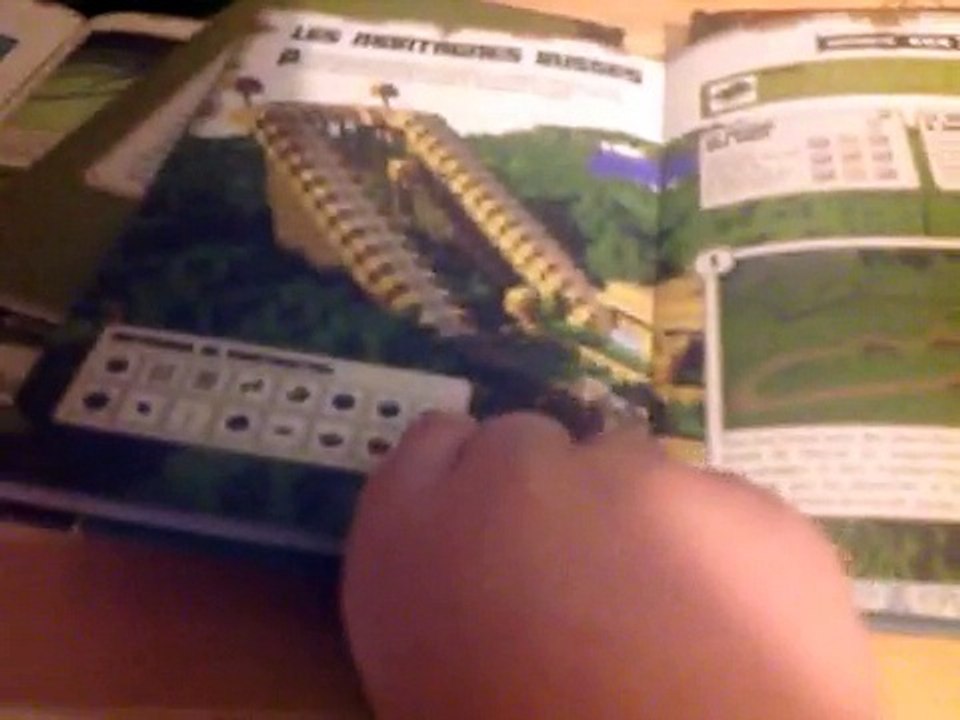 Livre minecrafte