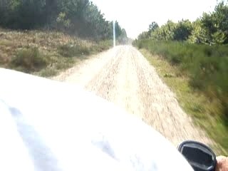 Course chiens/quad