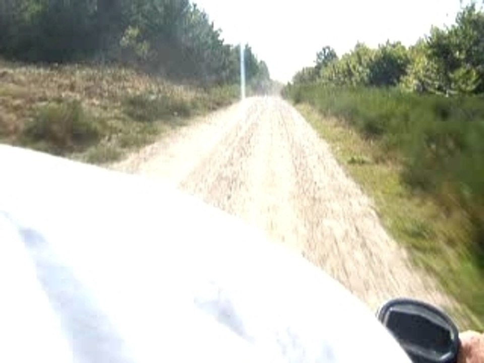 Course chiens/quad