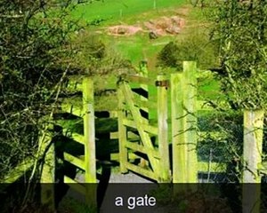 Курс английского языка Livemocha. 26. Действия [2011]