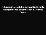 Download Endogenous Economic Fluctuations: Studies in the Theory of Rational Beliefs (Studies