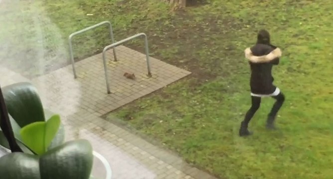 Un écureuil fait peur à une jeune femme