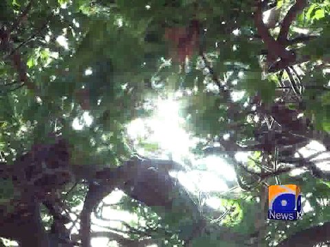 Hot weather to persist in Karachi today -13 May 2016